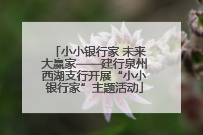 小小银行家 未来大赢家——建行泉州西湖支行开展“小小银行家”主题活动