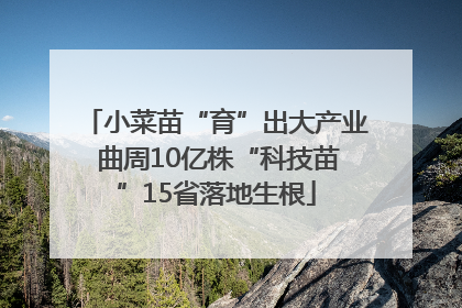 小菜苗“育”出大产业 曲周10亿株“科技苗”15省落地生根