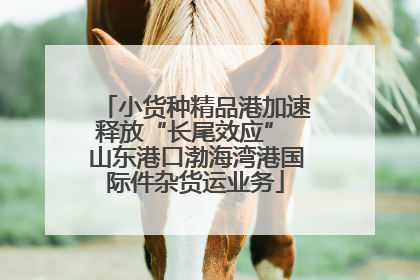 小货种精品港加速释放“长尾效应” 山东港口渤海湾港国际件杂货运业务