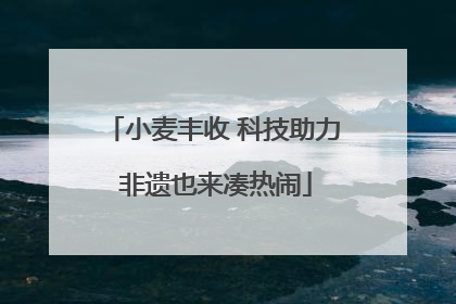 小麦丰收 科技助力 非遗也来凑热闹