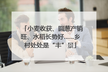小麦收获、圆葱产销旺、水稻长势好……乡村处处是“丰”景
