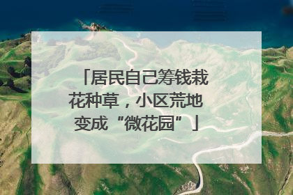 居民自己筹钱栽花种草，小区荒地变成“微花园”