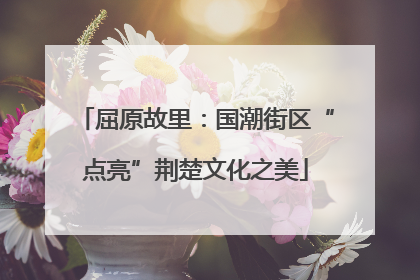 屈原故里：国潮街区“点亮”荆楚文化之美
