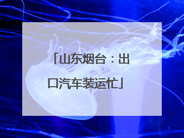 山东烟台：出口汽车装运忙