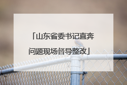 山东省委书记直奔问题现场督导整改
