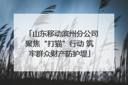 山东移动滨州分公司聚焦“打猫”行动 筑牢群众财产防护堤