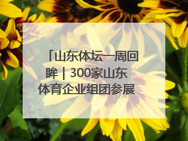 山东体坛一周回眸｜300家山东体育企业组团参展中国体博会