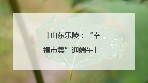 山东乐陵：“幸福市集”迎端午