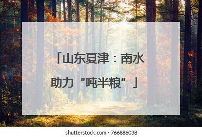 山东夏津：南水助力“吨半粮”