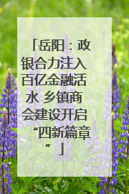 岳阳：政银合力注入百亿金融活水 乡镇商会建设开启“四新篇章”