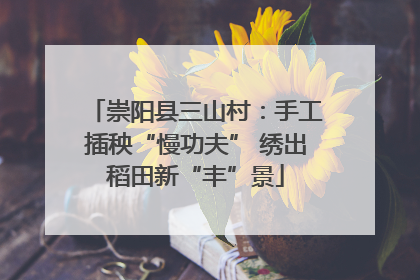 崇阳县三山村：手工插秧“慢功夫” 绣出稻田新“丰”景