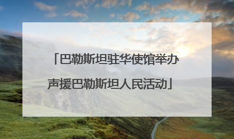 巴勒斯坦驻华使馆举办声援巴勒斯坦人民活动