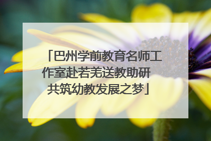 巴州学前教育名师工作室赴若羌送教助研 共筑幼教发展之梦