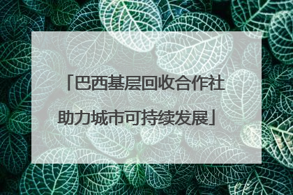 巴西基层回收合作社助力城市可持续发展