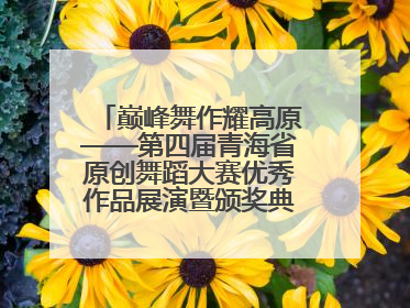 巅峰舞作耀高原——第四届青海省原创舞蹈大赛优秀作品展演暨颁奖典礼璀璨收官