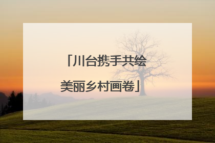 川台携手共绘美丽乡村画卷