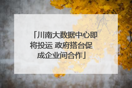 川南大数据中心即将投运 政府搭台促成企业间合作