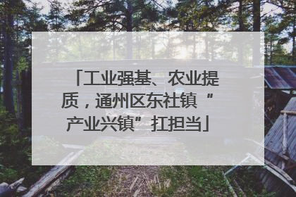 工业强基、农业提质，通州区东社镇“产业兴镇”扛担当