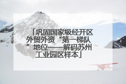 巩固国家级经开区外贸外资“第一梯队”地位——解码苏州工业园区样本