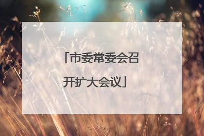 市委常委会召开扩大会议