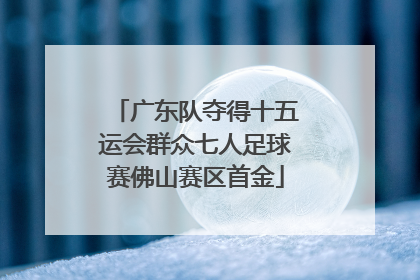 广东队夺得十五运会群众七人足球赛佛山赛区首金