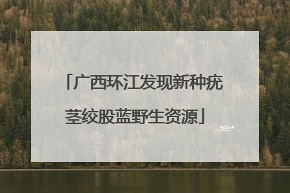 广西环江发现新种疣茎绞股蓝野生资源