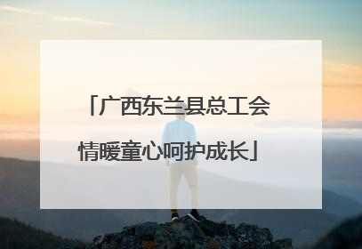 广西东兰县总工会情暖童心呵护成长