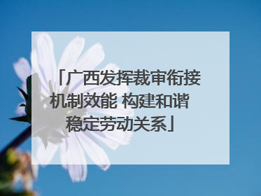 广西发挥裁审衔接机制效能 构建和谐稳定劳动关系