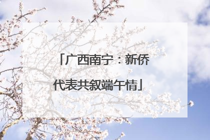 广西南宁：新侨代表共叙端午情