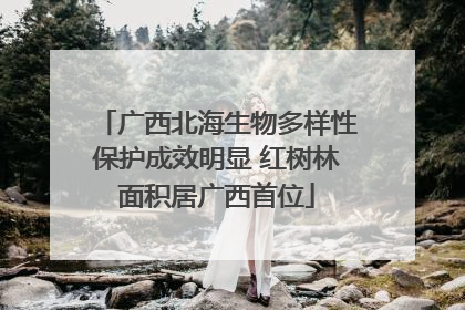 广西北海生物多样性保护成效明显 红树林面积居广西首位