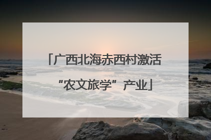 广西北海赤西村激活“农文旅学”产业