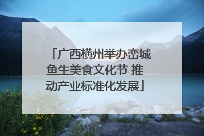广西横州举办峦城鱼生美食文化节 推动产业标准化发展