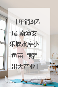 年销3亿尾 南漳安乐堰水库小鱼苗“孵”出大产业