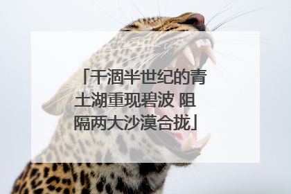 干涸半世纪的青土湖重现碧波 阻隔两大沙漠合拢