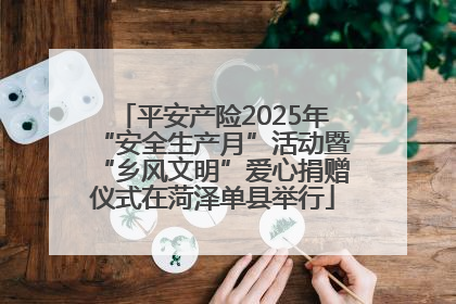 平安产险2025年“安全生产月”活动暨“乡风文明”爱心捐赠仪式在菏泽单县举行