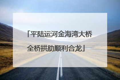 平陆运河金海湾大桥全桥拱肋顺利合龙