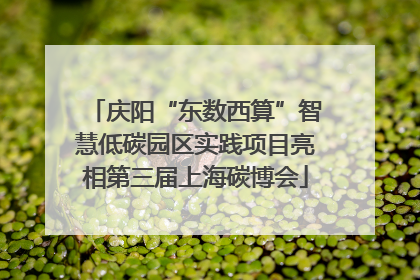 庆阳“东数西算”智慧低碳园区实践项目亮相第三届上海碳博会