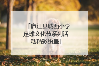 庐江县城西小学足球文化节系列活动精彩纷呈