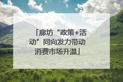 廊坊“政策+活动”同向发力带动消费市场升温