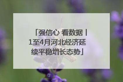 强信心 看数据丨1至4月河北经济延续平稳增长态势