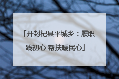 开封杞县平城乡：履职践初心 帮扶暖民心