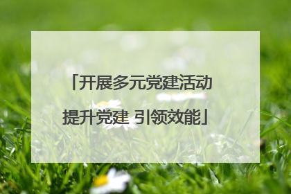 开展多元党建活动 提升党建 引领效能