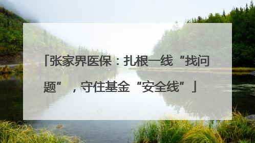张家界医保：扎根一线“找问题”，守住基金“安全线”