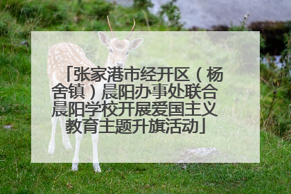 张家港市经开区（杨舍镇）晨阳办事处联合晨阳学校开展爱国主义教育主题升旗活动