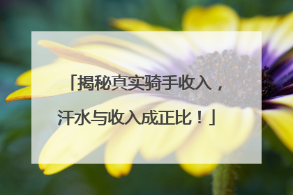 揭秘真实骑手收入，汗水与收入成正比！