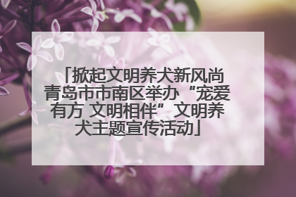 掀起文明养犬新风尚 青岛市市南区举办“宠爱有方 文明相伴”文明养犬主题宣传活动
