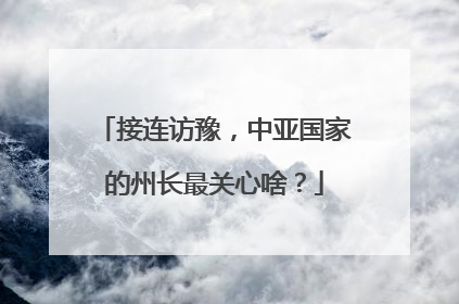 接连访豫，中亚国家的州长最关心啥？