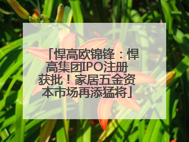 悍高欧锦锋：悍高集团IPO注册获批！家居五金资本市场再添猛将