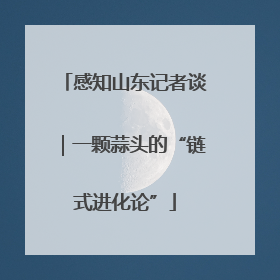 感知山东记者谈｜一颗蒜头的“链式进化论”