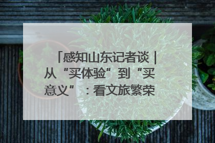 感知山东记者谈｜从“买体验”到“买意义”：看文旅繁荣背后的幸福新定义